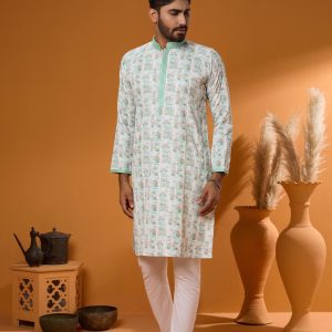 Premium Sequence Panjabi