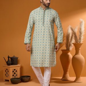 Premium Sequence Panjabi